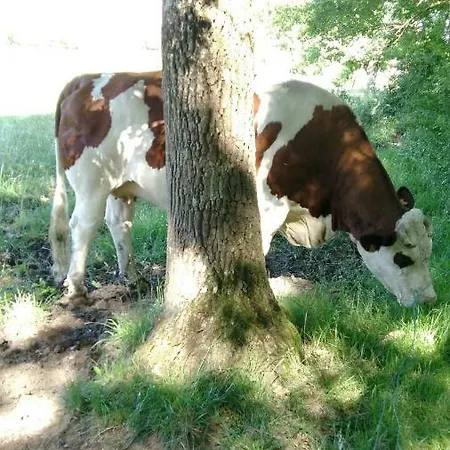 Feriehus Gites Eynardou En Perigord Naussannes